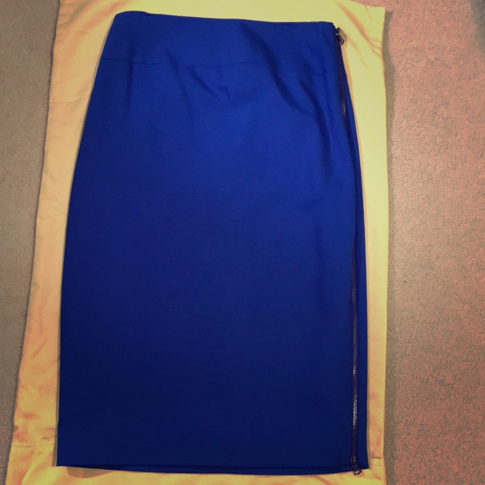 Express Pencil Skirt